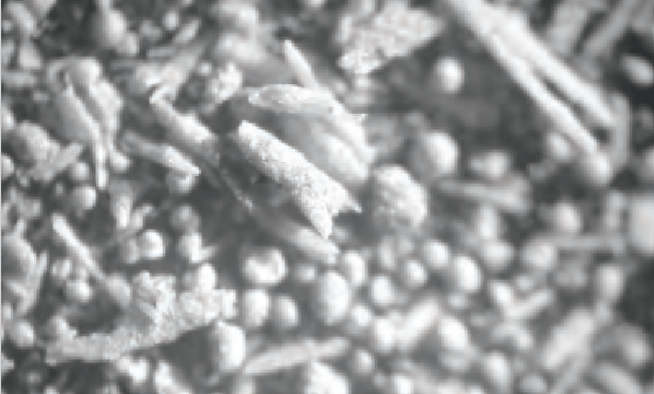 financial times sahte organiklere dikkat