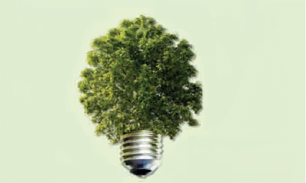 yesil canavar emrinize amadegreenwash