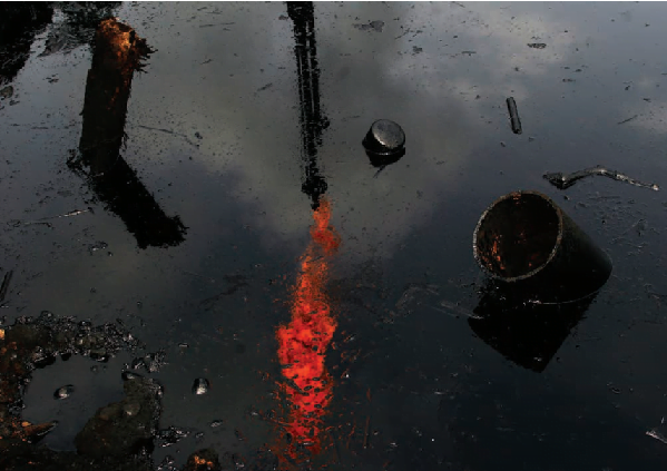 amazonun cernobili crude