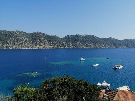 deniz cayirlari kurumasin
