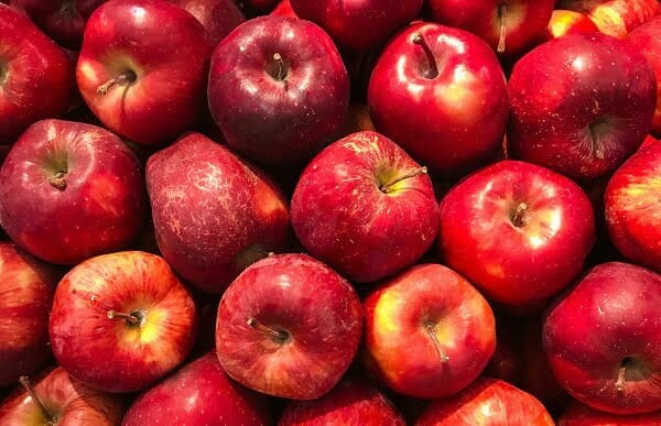 iste huzurlarinizda zehirli duzine