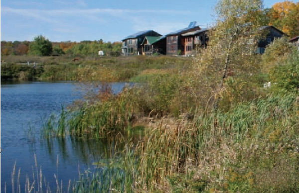 basit dogal ve paylasimci eko koyler