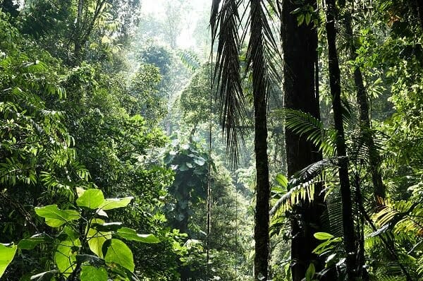 biyocesitlilik icin 1001 gonullu araniyor