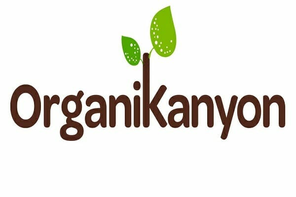 kanyonda yesil hayat