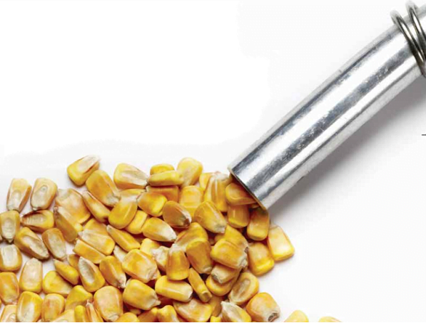 bioyakit karin doyurur mu