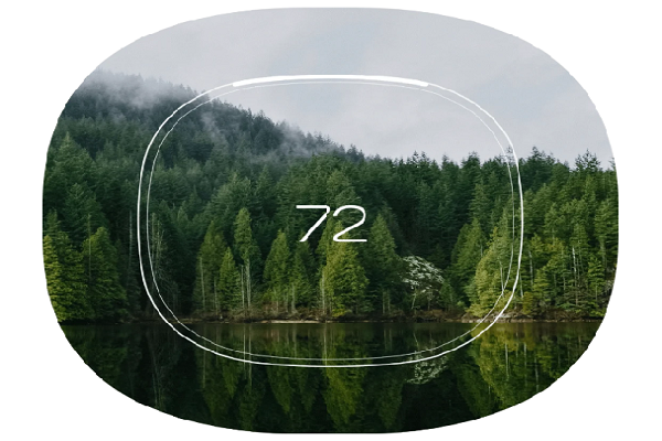 ekolojik arilar eskilerini paylasiyor