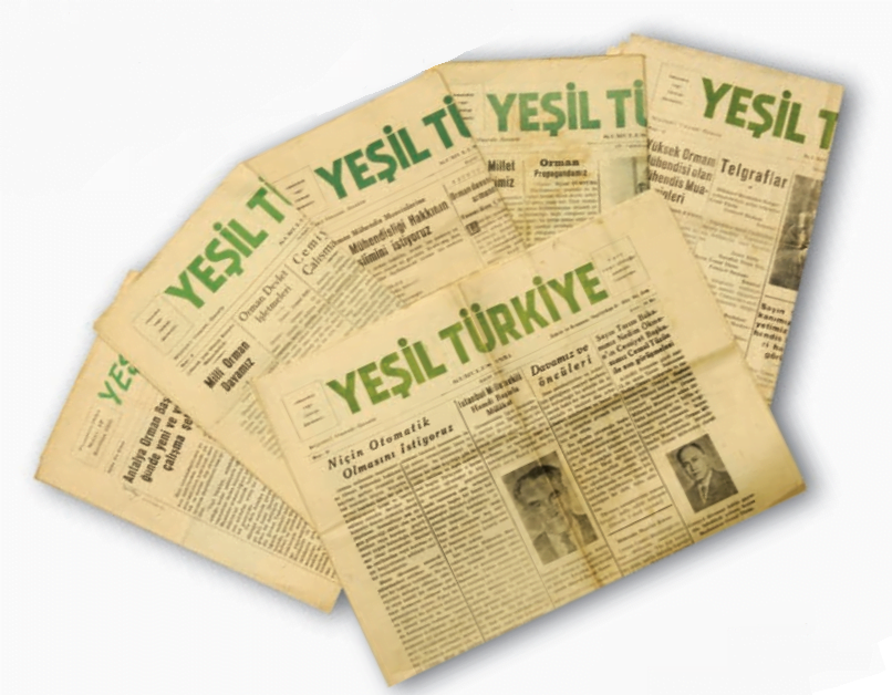 yurt yesil oldugu zaman vatandir