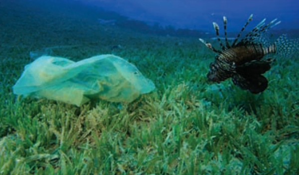 plastik posetler tarih mi oluyor