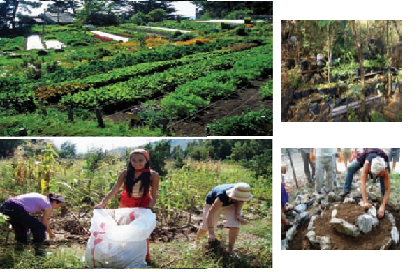 evladiyelik insan yerlesimleri permakultur