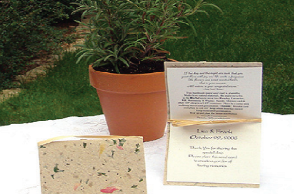 yeseren kartlar turkiyede