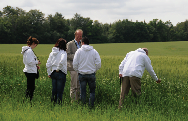 organik cumhuriyetin baskentinde