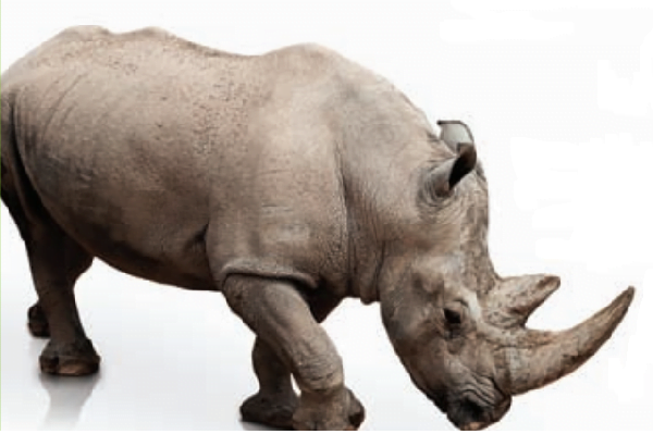 gecmis cagin soylemleri bunlar