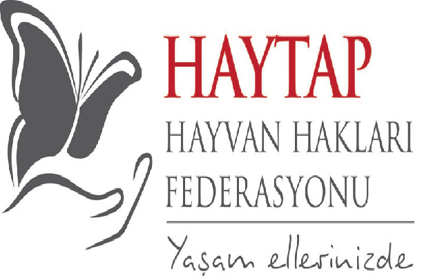 vekillerden turler arasi dayanismaya destek