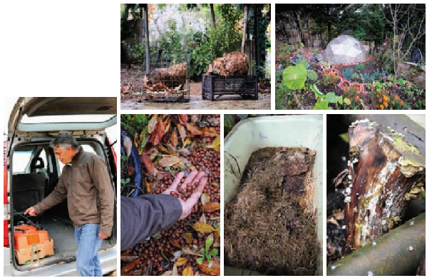 teoride ve pratikte taner aksel