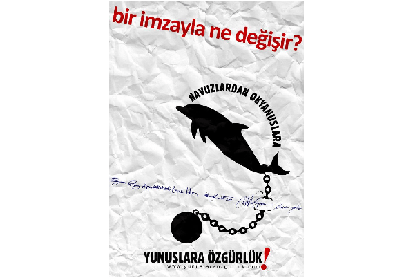 yunuslara ozgurluk sayin basbakanim