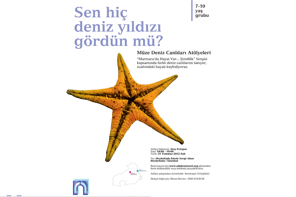 siz hic denizyildizi gordunuz mu