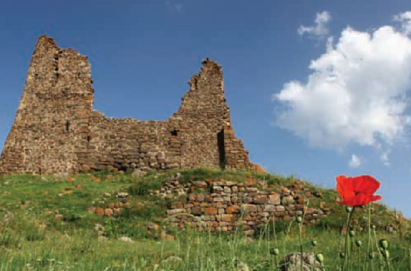 serhatta yesil turizm atagi
