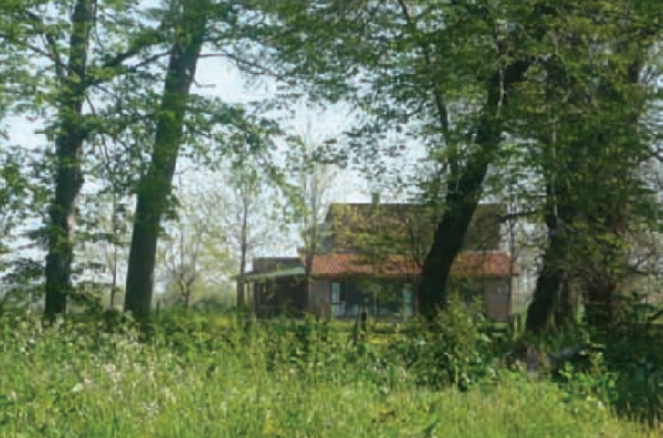 icindeymisik yesilmisik