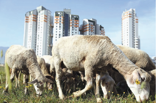 yerel secimler icin surdurulebilir kentler sarti