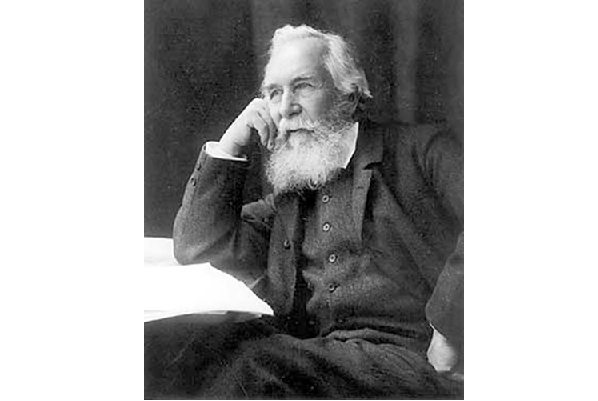 ekoloji kelimesi literaturumuze girdi