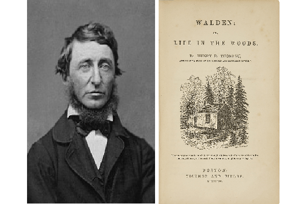 henry david thoreau waldeni yayinladi