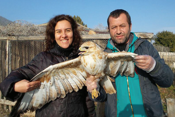 sehirden cikma zamani