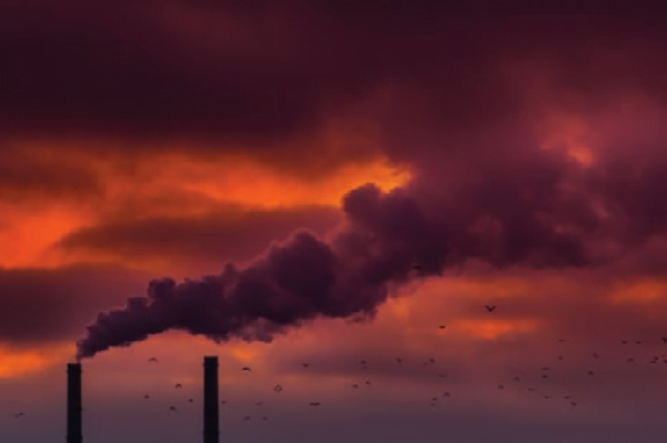 seragazi emisyonunda yine rekor kirdik