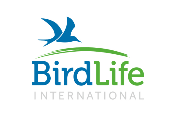 birdlife international uyardi yakinda istanbulda gocmen kus gormeyebiliriz