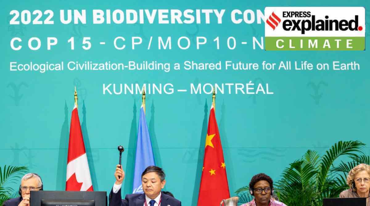 COP15