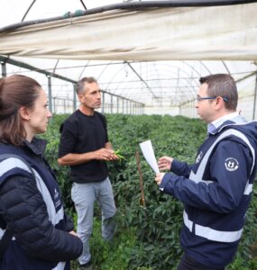 ist tarim (1)