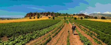 Farmer,Working,In,The,Field.,Kilistra, ,Konya,/,Turkey