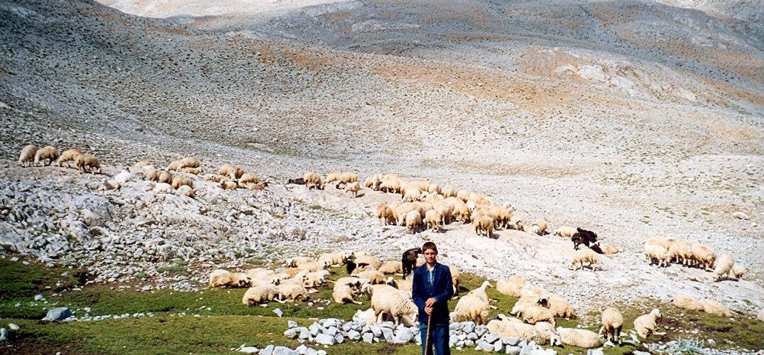 yoruk dag