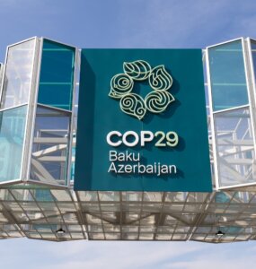fao cop29 venue