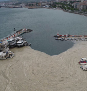 Marmara