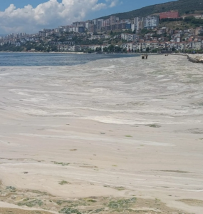 Gemlik