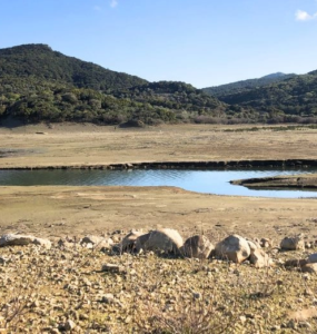 Kuraklık