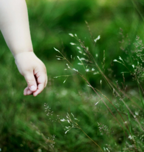 micheile-henderson o-unsplash k