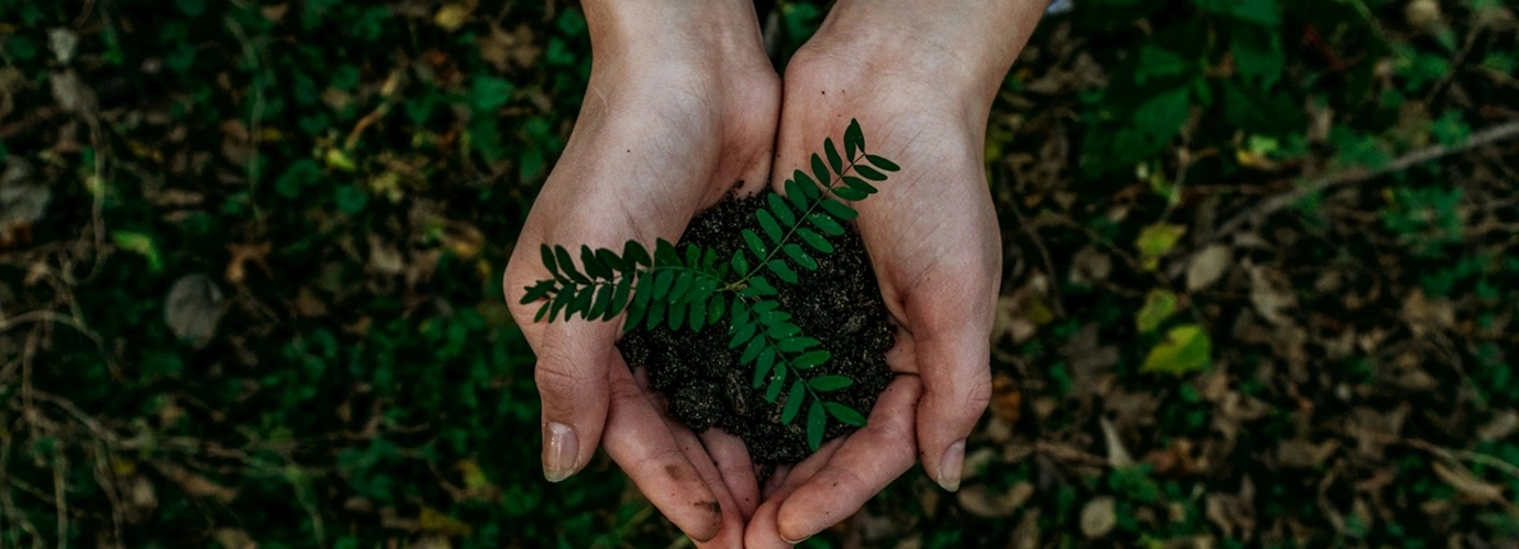 noah-buscher-unsplash