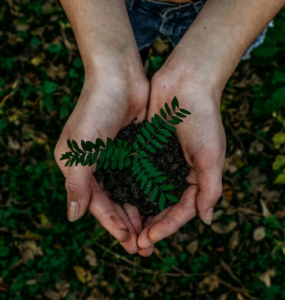 noah-buscher-unsplash