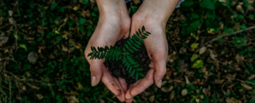 noah-buscher-unsplash