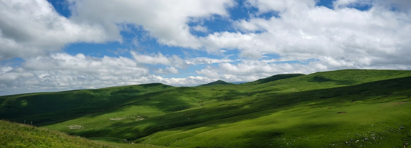 Dağ Çayırlarını