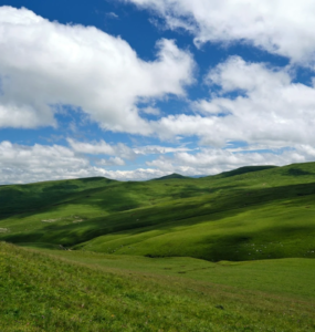 Dağ Çayırlarını