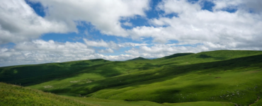 Dağ Çayırlarını