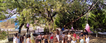 kapakgorseli k