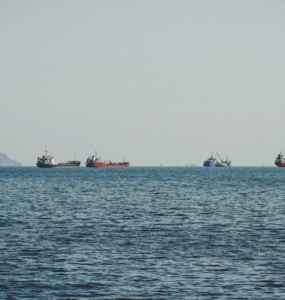 Mayıs