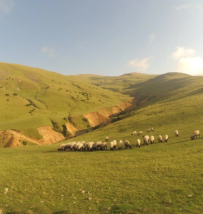 Patlayıcı