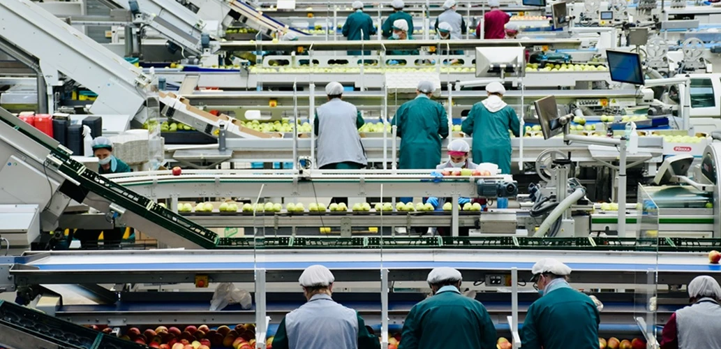 Economies