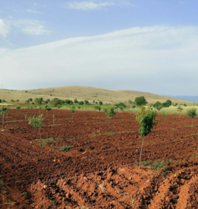 Türkiye
