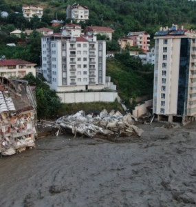 Toplumsal Destek