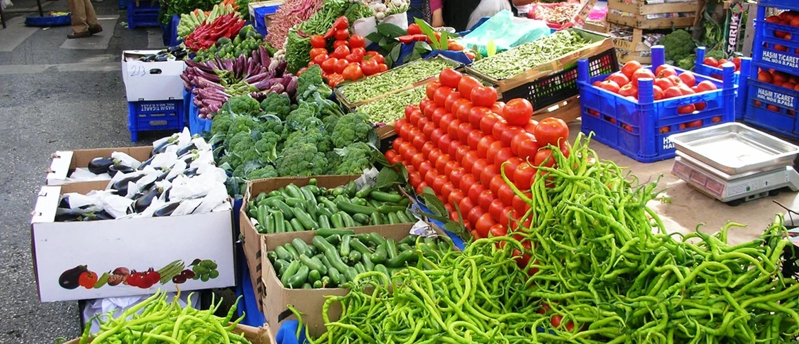 Doğurganlık